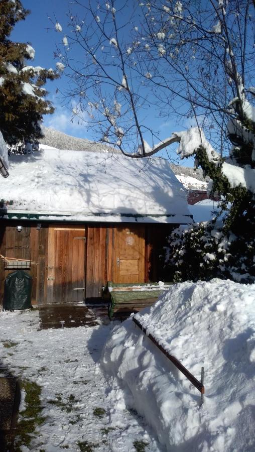 Chalet Dorfer Villa Sankt Lorenzen ob Murau Eksteriør billede